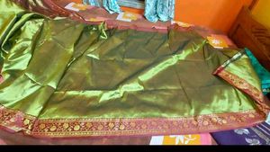 Elegant Olive Green Embroidered Saree