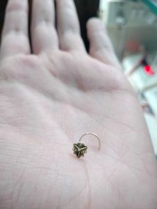 Gold Nospins 20ct