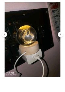Dolphin Crystal Ball