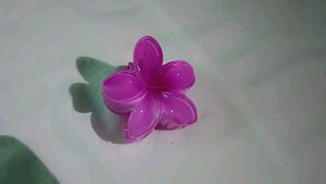 Set of 6 -Hair Claw Clips