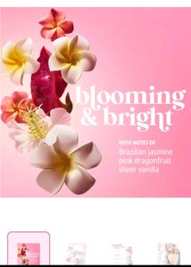 Sol De Janeiro Beija Flor Elasti Cream