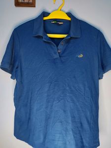 T Shirt Of Crocodile Brand It For Women