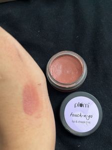 Plum Touch-n-Go Lip &amp; Cheek Tint | Pinched Nude