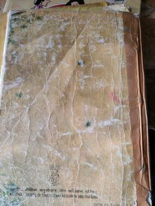 Beehive Class 9 Textbook