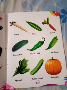 My First Picture Dictionary