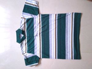 Polo tshirt For Men