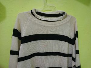 Striped Knit Turtleneck