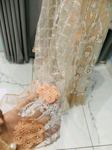 Party Wear Ethnic Gown