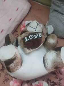 Teddy Bear With Love 💕