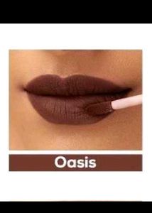 Renee Matte Liquid Lipstics- Brown Shade Combo