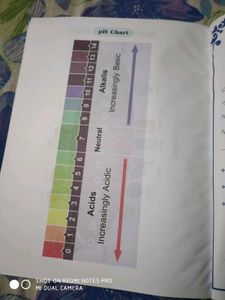 Class 9 Science Practical Book