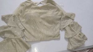 Shimmery Ruffle Sleeve Crop Top