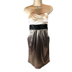 Silk Ballon Party Wear