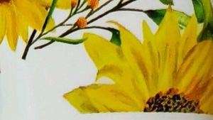 TLC 365 Face Wash Duo