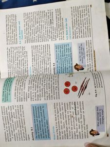 Class 8th NCERT Books