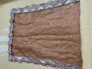 Elegant Sequin Dupatta ( Price Negotiable )