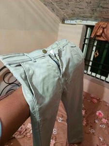 Light Grey Formal Stretchable Pants