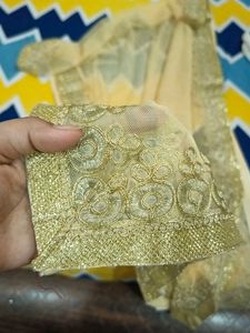 Lehenga With Dupatta Without Choli