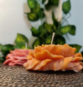 Peony Bloom Candles_ Combo( Set of 2 )