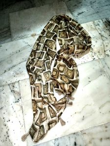 Brown Geometric Print Skirt