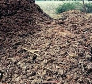 5 Kg Cow Dung Cake Gobar Khad Powder