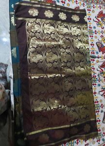 Elegant Saree Without Blouse