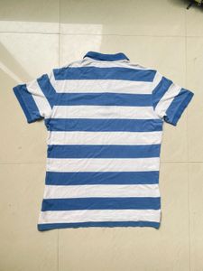 Striped Polo Shirt