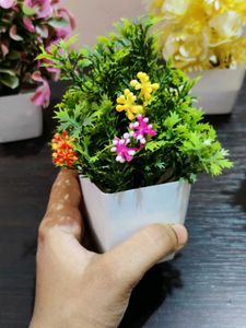 Artificial Plant Decor combo of 5 pots