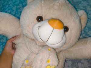 Giant Teddy Bear