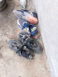 Chapri Shoes