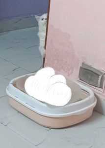 Litter Box For Kitten Or Dog Pets 🐈