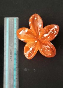 Set Of 4 Clutchers And Neem Comb
