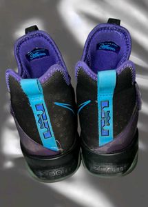 Nike LeBron James 23 OG