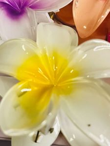 Flower Claw Hair Clips