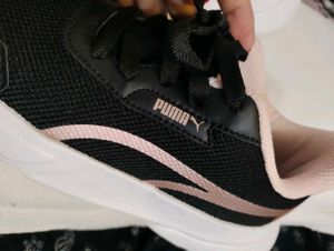 Puma Shoe