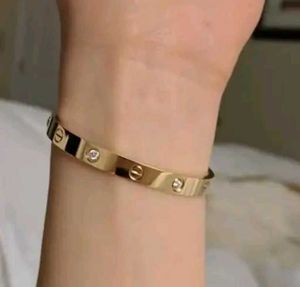 Stainless Steel Trending Bracelet