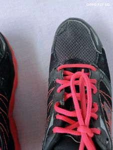 Sketchers Shoes