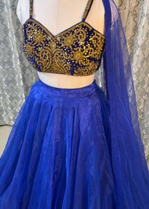 Blue Embellished Lehenga Choli