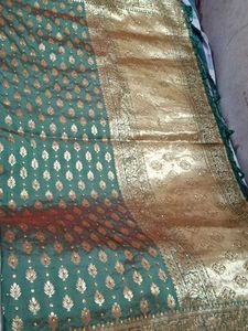 Green &amp; Gold Embellished Saree.. Double Shade