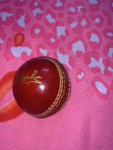Cricket Leather Ball