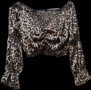 Leopard Print Crop Top