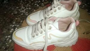 Sneakers Women  Shoes