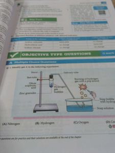 CBSE Class 10 Science book