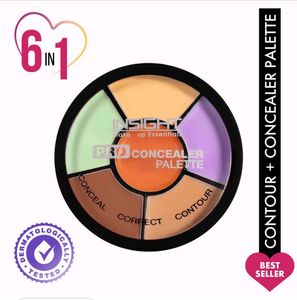 All In One Concealer Palette