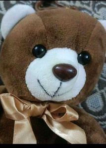 Teddy Cute and Premium