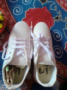 Woman White Sneaker 👟
