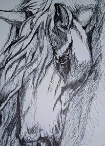 Silent Grace – A Handmade Horse Sketch