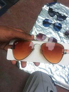 Sunglasses Collection