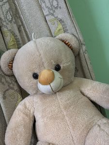 TEDDY TOY