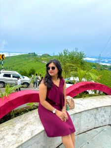 Burgundy Ruffle Dress
